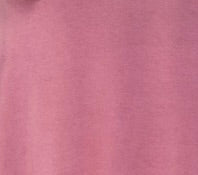 T46 Lisa Cowl